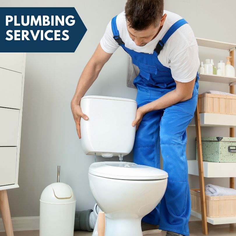 Plumbing Company in Frederika, IA